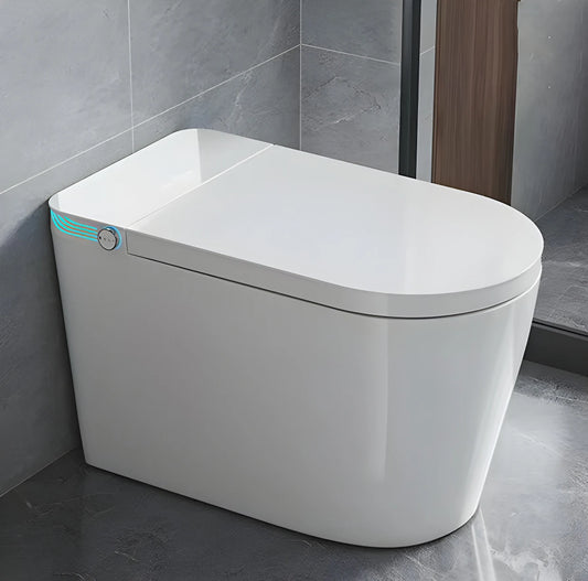 Smart Toilet With Built In Bidet And Heated Seat Voice