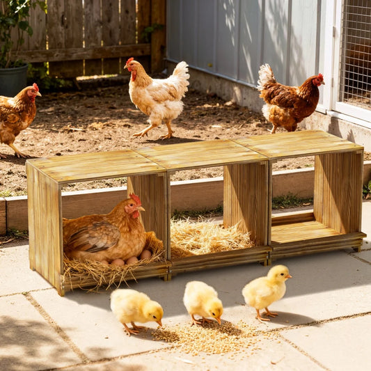Pine Wood Chicken Nesting Box 3 Compartment Egg Nest Chickens