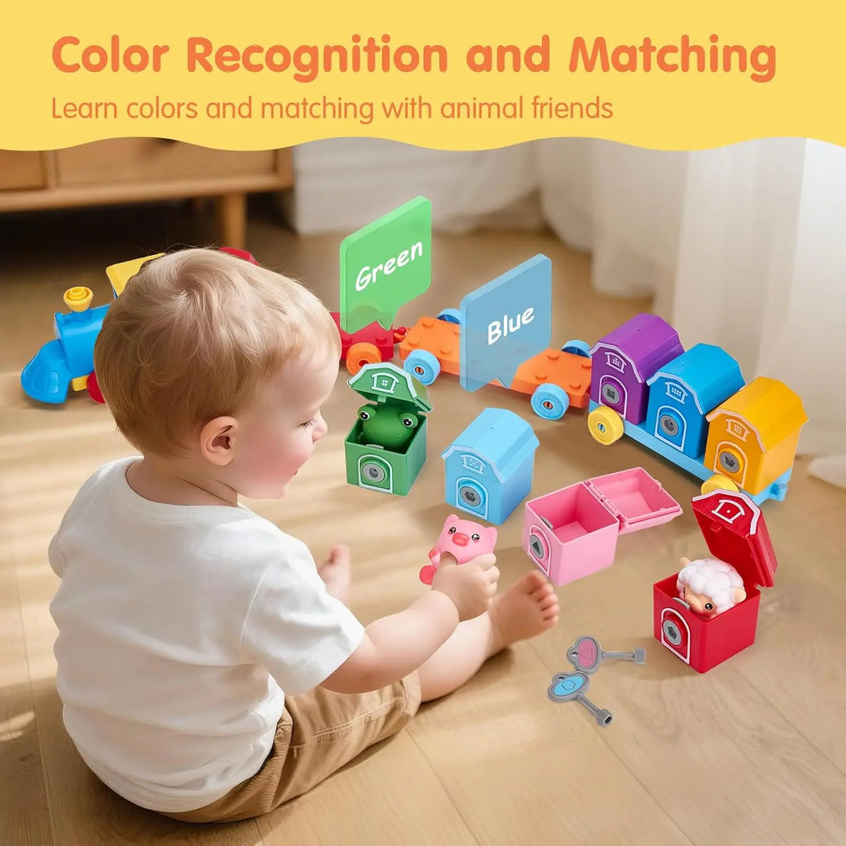 TOPLIVING Counting and Sorting Train Set