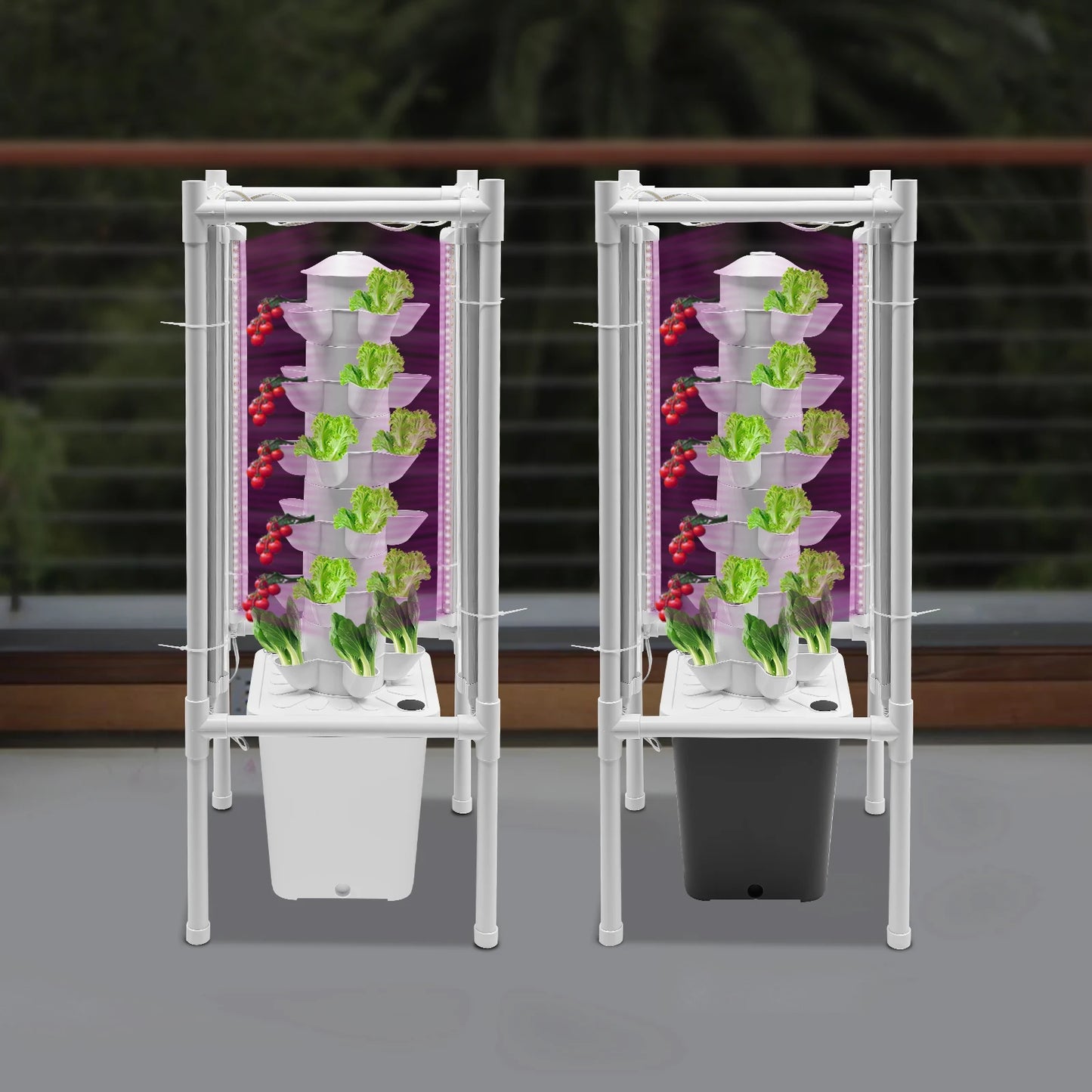 Hydroponic Growing System With LED Light And Stand