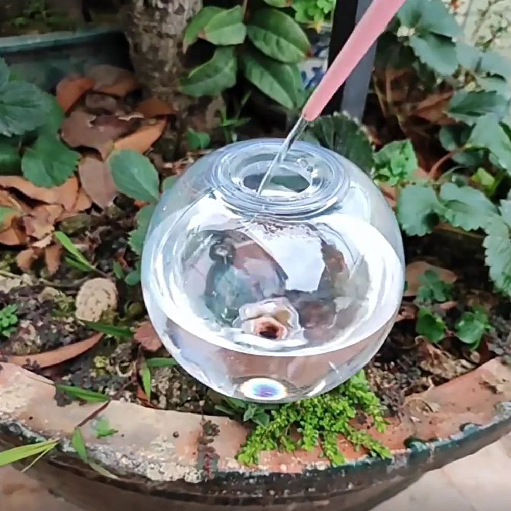 Plant Watering Globes 500ML Self Watering Kit For Potted Plants