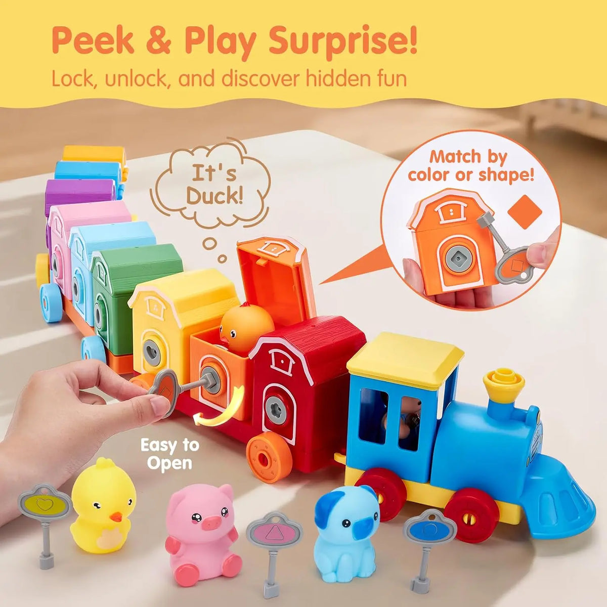 TOPLIVING Counting and Sorting Train Set