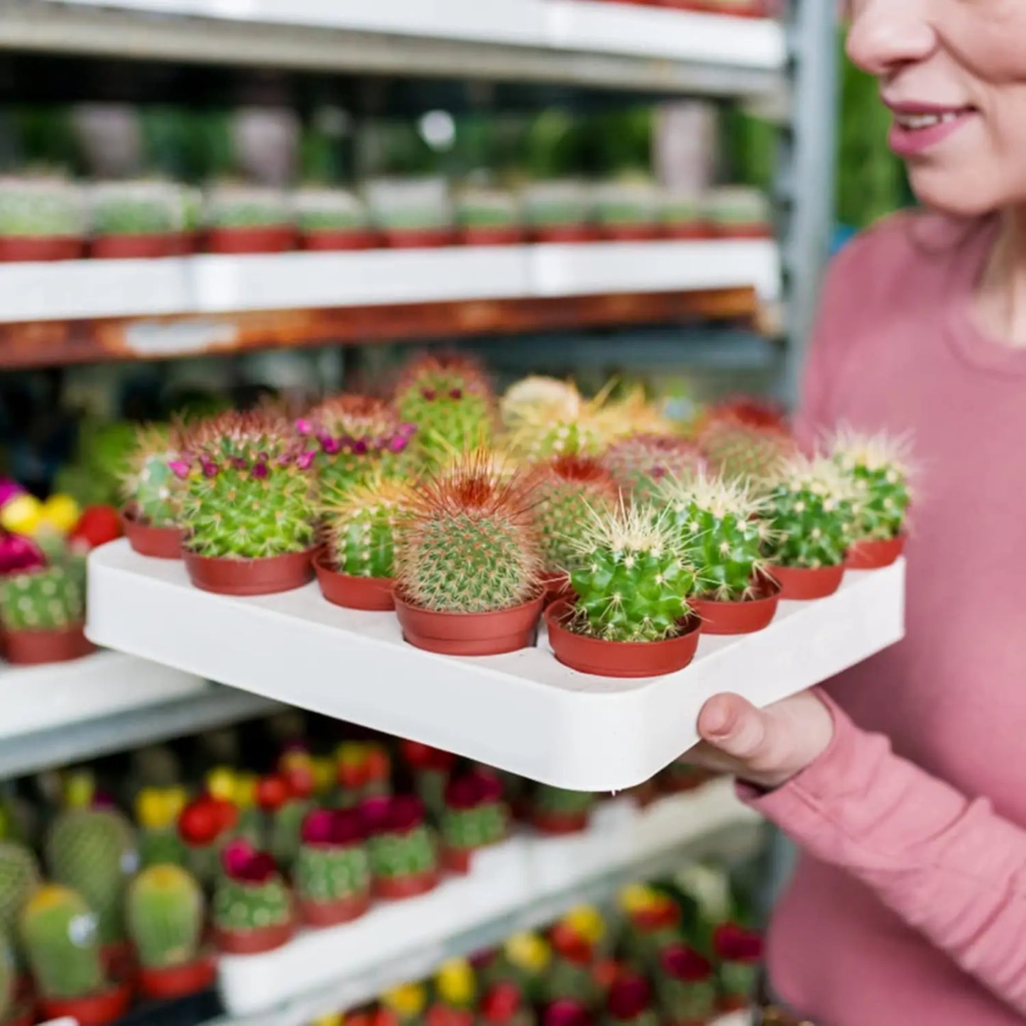 Plastic Plant Nursery Pots For Succulents Seed Starting And Cuttings