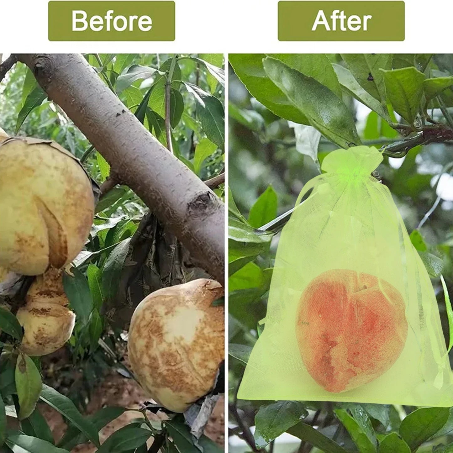 Fruit Protection Bags Anti Bird Mesh Netting Garden Plants