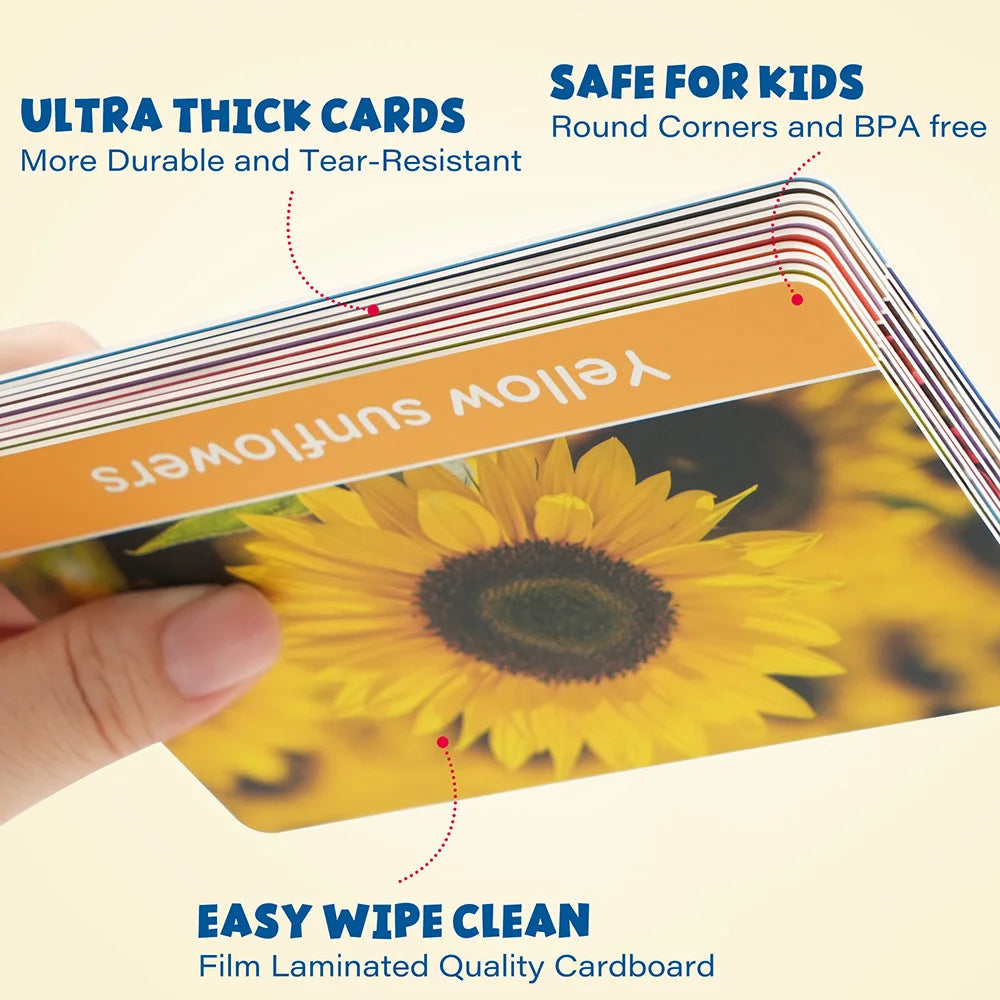 Double Sided Alphabet and Numbers Flash Cards for Toddlers