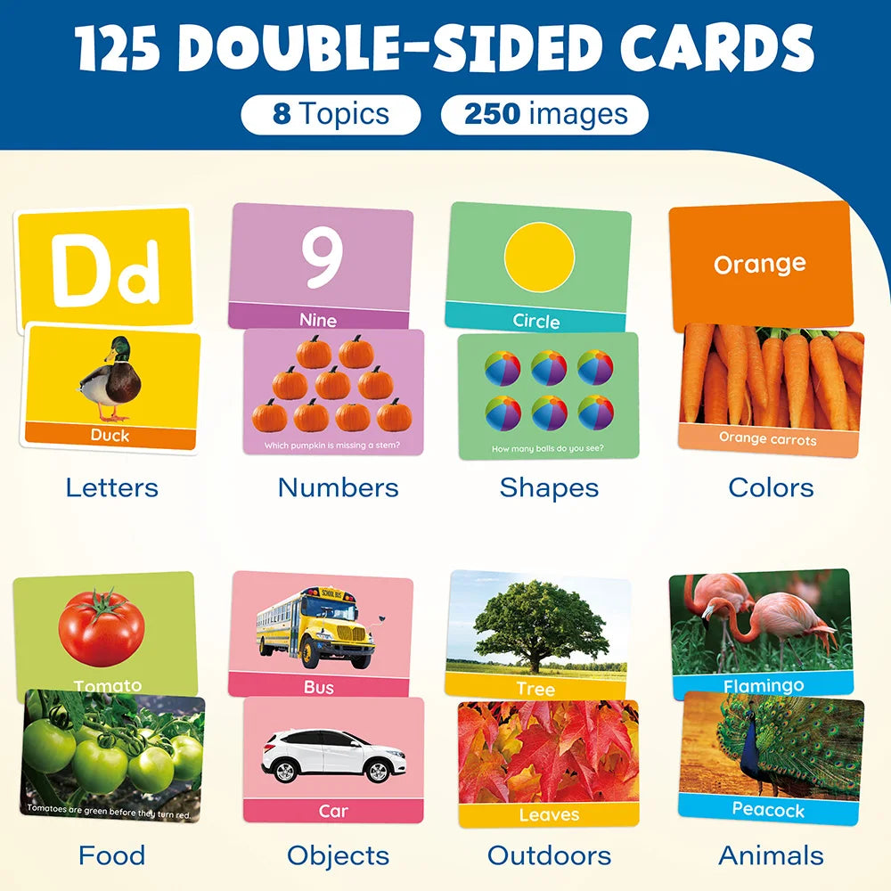Double Sided Alphabet and Numbers Flash Cards for Toddlers