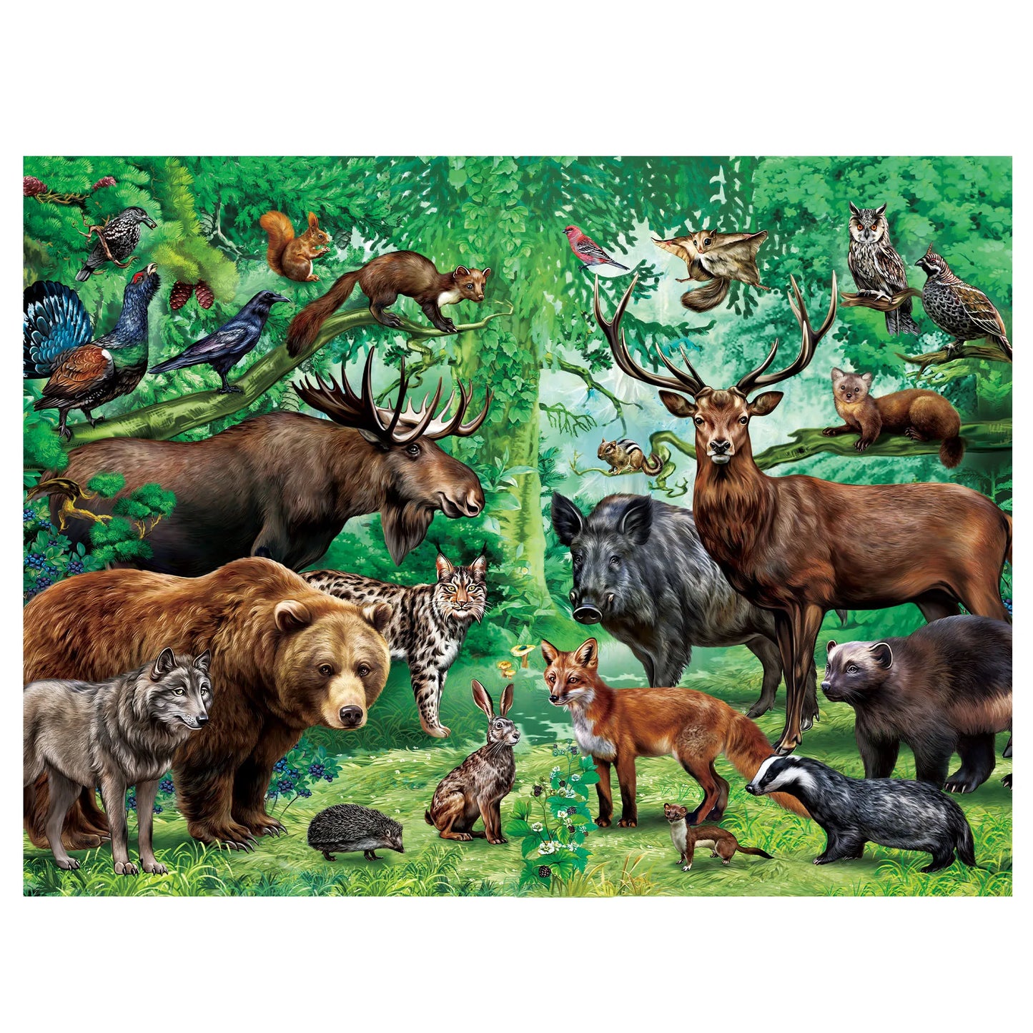 Wild Animals Double Sided 100 Piece Puzzles 2 In 1